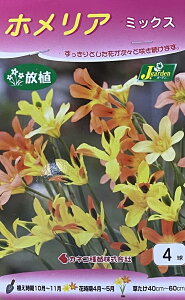 yԋzzA ~bNX 4 JlRc̋