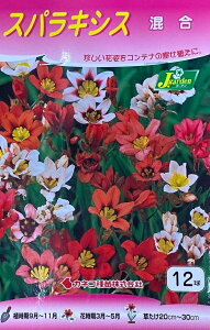 yԋzXpLVX  12 JlRc̋