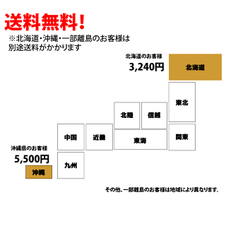 トンボSP1(硬土用レーキ80cm幅)5本セット超軽量(1.1Kg)でも壊れない!グランド整備用オールアルミ製レーキ野球・サッカー・ソフトボールのグラウンドにSPSPORTS野球サッカー卒団記念品卒部記念品に【送料無料】