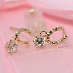 z[XV[ n L[rbN sAX K10 10 sAX fB[X lC 킢 