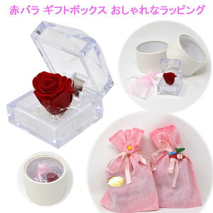 ԃo Mtg{bNX ȃbsO LbsOT[rX lbNX sAX y_g a WG[ ANZT[