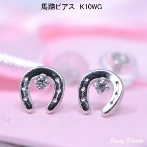 n z[XV[ sAX K10WG 10 zCgS[h  sAX fB[X 
