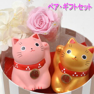 S[h sN yA L K vU[uh t[ o  BOX a ̓ LO j ͂Ȃ  Mtg v[g 