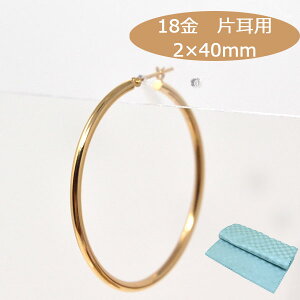 18 t[vsAX t[v 18k K18 18 S[h Ўp pCvTCY 2mm ×40mm fB[X Y sAX v[g { 