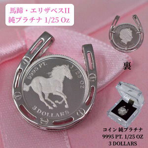 RC y_g gbv n n z[XV[ K^ co GUxXRC 1/25IX v`i Pt999 g Pt850 v[g Mtg  y NX}X v[g z