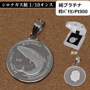 �R�C�� �y���_���g �g�b�v ���v���`�i �g PT900 �N�W�� �R�C���y���_���g �~ BLUE WHALE 1/10�I���X �������� �yLINE3�z