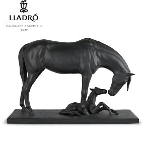 yP2{+N[|zn̐eq h LLADRO  en V |[Z  l` u CeA ۏ  v[g j Vz J  ItBX rO yKiz01012560