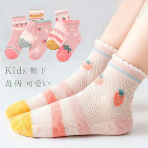 LbY C q \bNX 5Zbg 2^Cv bV  V[g\bNX  ʋC ̎q xr[ ۈ牀 ct w 䕕 킢 ĕ 