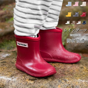 Cu[c q j̎q ̎q jp xr[ LbYV[Y ~J h h ʉ ʊw ۈ牀 w Vv t V