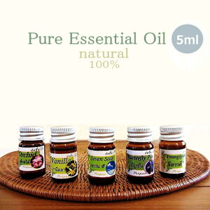 A}IC GbZVIC sA vA [Y o^C o^tCs[ tWpj IC 100% t[ t[eB[ ][g GbZV [tOX 