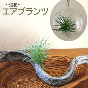  O[[t fR[V tFCN O[ ][gCeA  AWA o C  fBXvC IV  [  CeA o nC Jt