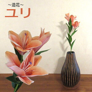   CeA  t[  [ ][g ԏ fR[V ][gCeA  IW O[ bh IV tFCN i`][g tFCNt