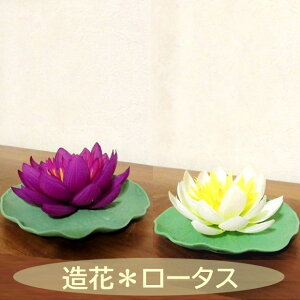  [^X @ ɕ  CeA tFCN t[ fR[V  nX AWA o ^C xgi  t[eBOt[ AWACeA  ][gC