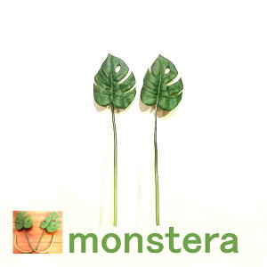  Xe [t 썑 fR[V t }  ][g O[ [t fR[V tFCNO[ Ǌ| ][gCeA  AWA o nC Cn