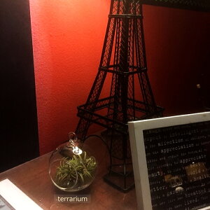 eE KX GA[vcp O[ Ap e  V ݂艺 u^ CeA o JtHjA Cݕ _  NA[KX CeAG 