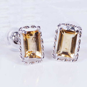 v`i Vg X^bh sAX v1Jbg XNGA N^O Ђ˂ cCXg ` 11a΁@Mtg@