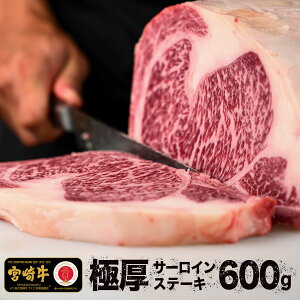 Ɍ 2cmJbg {苍 IA5 T[C Xe[L 600g×1Zbg | Mtg Y a ~ Ԑg  uh    O v[g H p[eB[