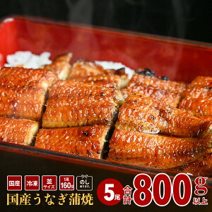 yő10%OFF4,000~N[|zY Ȃ  160g/1 | pϔ V EiM Y Ă Ⓚ ^pbN {  N̓ ypN̓   O v[