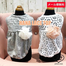 楽天市場 パンチング 犬用品 ペット ペットグッズ の通販