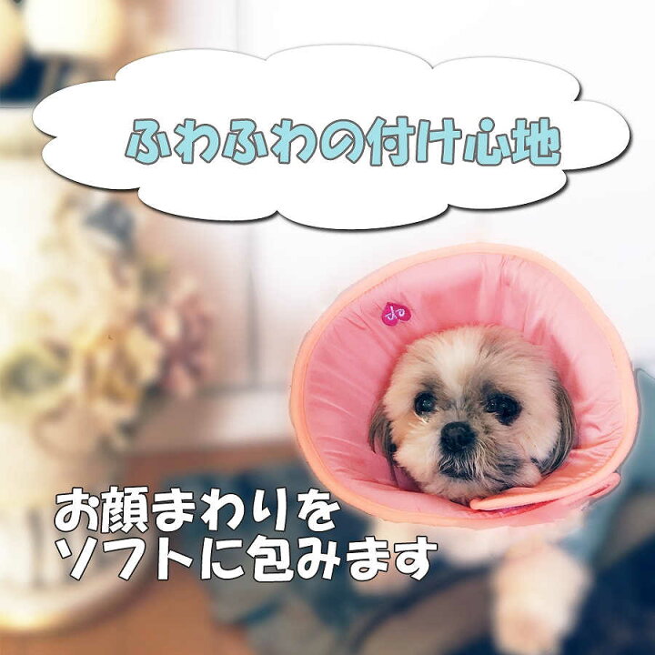 楽天市場 エリザベスカラー ソフト Ep St 送料無料 獣医師監修 Xs L エリザベスカラー 犬用 猫用ソフトエリザベス プロテクター 柔らかい 可愛い エリザベスカラー 介護用品 手術 怪我 傷口 保護 ソフト 犬 猫 ピンク グリーン エリカラ カラー Jewelcake楽天市場店