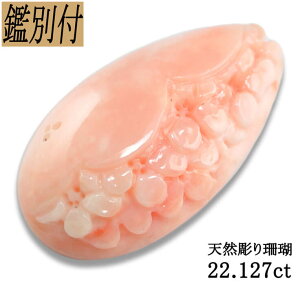 yӕʕtzVR X 22.127ct R[ [X ΁yH܂z