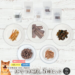 y_tf[IXSiP5{z Y5Zbge10g  Y  aian  p Lp n   { ܂ `bv W[L[ L[u  J[