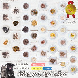 48種から選べる無添加おやつ5点 犬 無添加 おやつ あい庵 犬用 猫用 国産 馬肉 鹿肉 猪肉 鶏肉 七面鳥 チーズ まぐろ カンガルー ジャーキー チップ キューブ クッキー 鮭 サケ 真鯛 あじ 魚 レトルト 野菜 手作り食 プレゼント