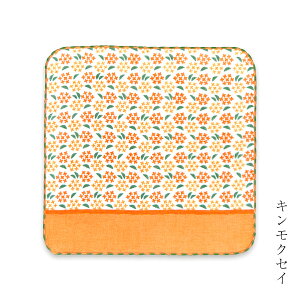 yT300~OFFN[|znJ` ͂񂩂 q ǂ K[[nJ` ^InJ` 25cm 100 { Y v[g Mtg v`Mtg   ̃nJ`[t o L