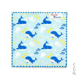 yT300~OFFN[|z~jnJ` ~j͂񂩂 15cm q ^InJ` X Lv  nJ` ~jnJ` |PbgTCY { Y v[g Mtg v`Mtg 