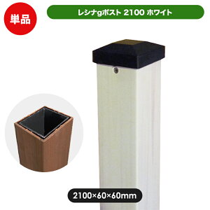 Vi|Xg2100izCgj(aks-00156) K[f DIY tFXx lH ؎  x  tFX