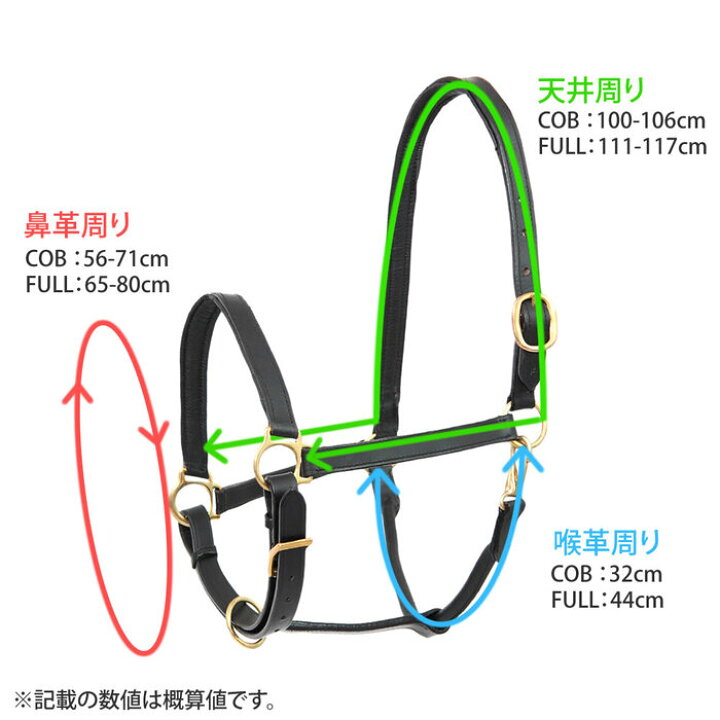 楽天市場】【送料無料】レザーホルター 本革無口 HPX2 （ブラック）COB 