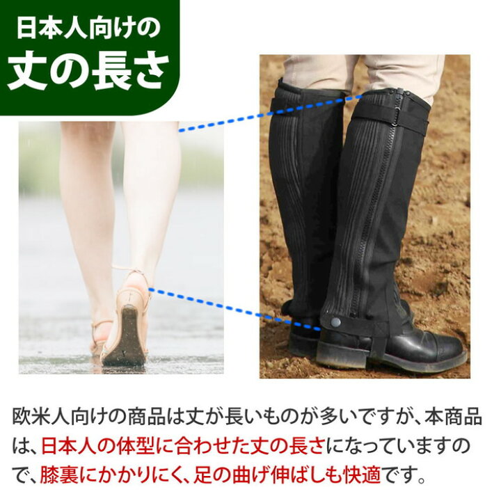 楽天市場】【送料無料】乗馬スタート基本5点セット | 男女兼用 