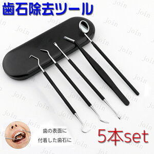 br14# Ύ 5{Zbg XeX p f^c[  j C L\h L f^PA ZPA  Ύ莩