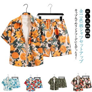 AnVc ZbgAbv AnVc ꂢ Y fB[X t  JWAVc n[tpc ㉺Zbg ԕ ԉ s ][g r[`  Jbv jZbNX