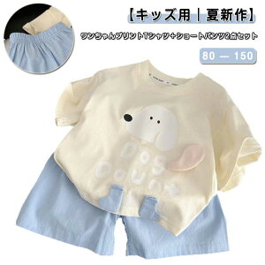 JWA  [EFA vg TVc{V[gpc ㉺Zbg  ZbgAbv ̎q Rbg j̎q 킢  JWA q ʊw ?