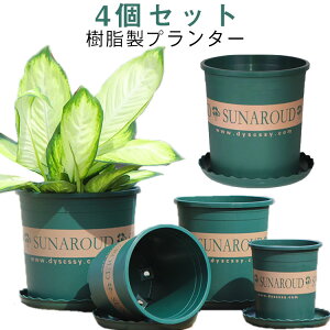 t y8TCYWJzv^[ vX`bN Jo[ y 4Zbg vg|bg Aؔ y8TCYWJzv^[ 󂯎M  r   A ƒ؉ ϗtA