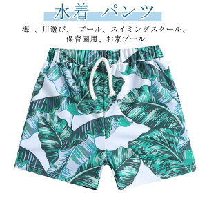  LbY pc j̎q Cp T[tpc n[tpc t r[`pc XC~O pc qp w Vv  ԕ V j v[ p X|[c V[gp