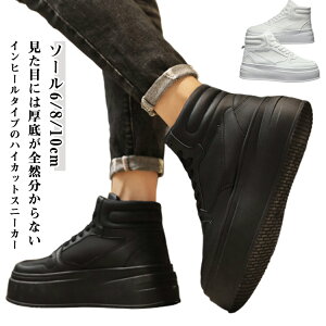 �V�[�N���b�g�V���[�Y �X�j�[�J�[ �g���A�b�v ����X�j�[�J�[ �����Y ���Ȃ� 6cm 8cm 10cm ���� �a�m�C �����₷�� ����~�� �V�[�N���b�g�X�j�[�J�[ �����Y�V���[�Y ���n �V���v�� ������� 