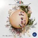 パリ直輸入 日本未発売 Des Gateaux et du Pain アーモンドケーキ ケーキ アーモンド ピスタチオ ローズウォーター フ…