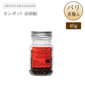 J|bg ԌӞ r 40g J{WAY GsXEWF Epices Roellinge Poivre Kampot rouge
