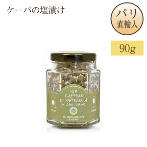 Pbp[̉Ђ C^AY I.G.PF peȀ P[p 90g La Nicchia Small Capers of Pantelleria in Sea Salt