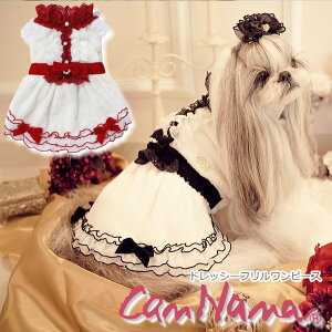  ~ NX}X hbOEFA s[X Z[ SALE H~yiizhbV[ts[X@SS-LTCY Ȃ ii  ҁ[ hX Christmas bh Black u