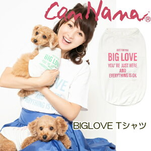  tďH~ I[V[Y hbOEFA yiizKL[vBIGLOVE TVc SS-LTCY uh DOGWEAR eB[Vc AEgXg ̕