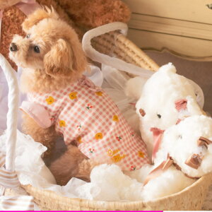 tāyiiz܂ڕTVc SS-LTCY    ̎q ybgEFA v[h ` CANNANA Lii Ȃ sN x[W `FbN