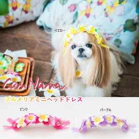 花 アクセ フラワー 犬　猫 ヘッドドレス アクセサリー キャンナナ プルメリアミニヘッドドレス 南国 アジアン ハワイ 　華 メール便発送