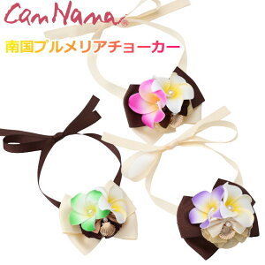 y15%OFFN[|zzz L `[J[ ANZ Lii 썑vA`[J[iԃ^Cvjt[ ^ ` v[h ps V[Y AWA sN p[v O[