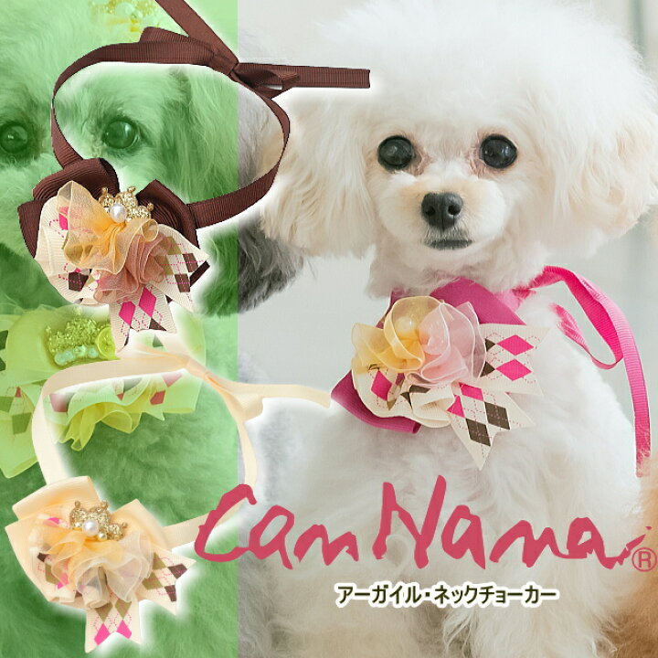 楽天市場】【3点まとめてお買い上げで10%OFFクーポン配布中】犬 猫 
