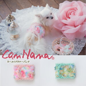  }i[oh }i[xg Lii }[Ch}i[xgSS-LLTCY ^  gC  ֑΍ }i[pbhJo[ sN ~g 