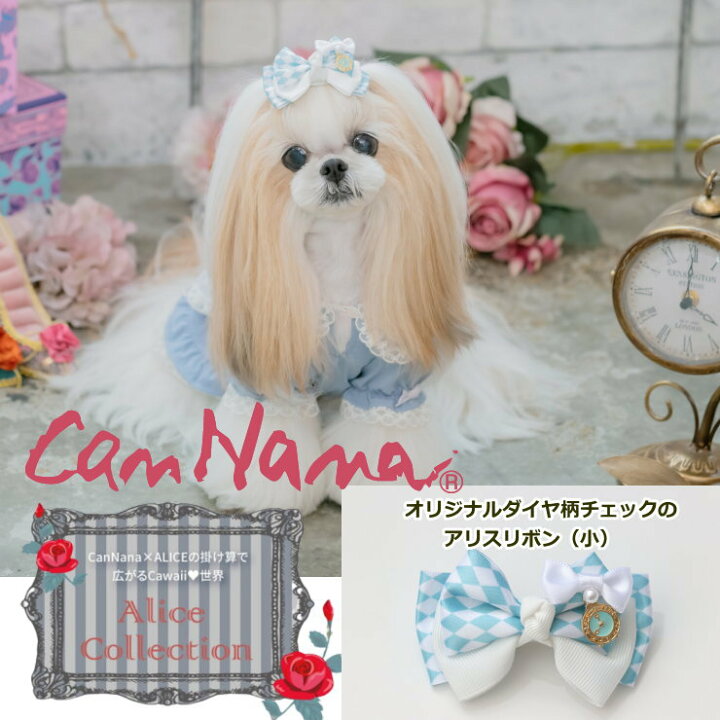 楽天市場 クーポン配布中 猫 犬アクセ 犬のアクセサリー 犬のリボン きゃんナナ オリジナルダイヤ柄チェックのアリスリボン 小 約8cm Lb 241 Cannana 犬アクセ 犬のアクセサリー ブルー ヘアリボン 髪飾り アクセ メール便対応 ハロウィーン Alice 犬服通販