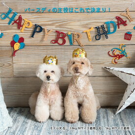ライフライク【life-like】ハッピークラウンMサイズ 猫 犬 誕生日 記念日 アニバーサリー HappyBirthday ギフト プレゼント 帽子 ハット